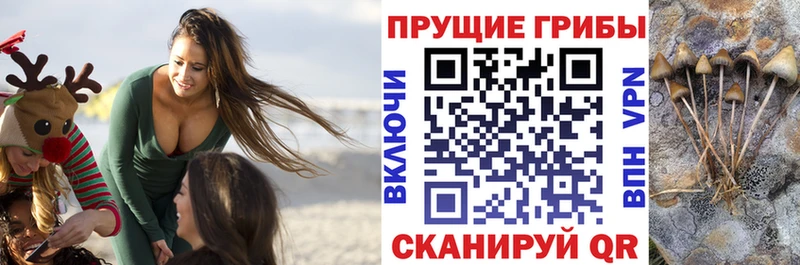 Купить закладки Семилуки Галлюциногенные грибы ЛСД